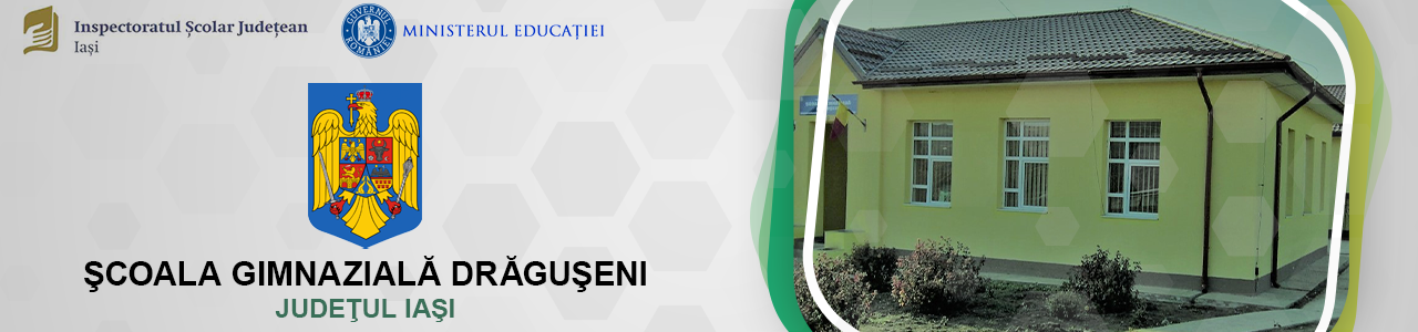 Scoala Gimnaziala Draguseni